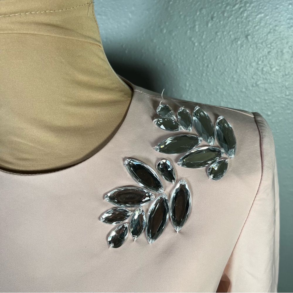 Kay Unger Blush Pink Long Sleeve Embellished Maxi Dress - Picture 10 of 13